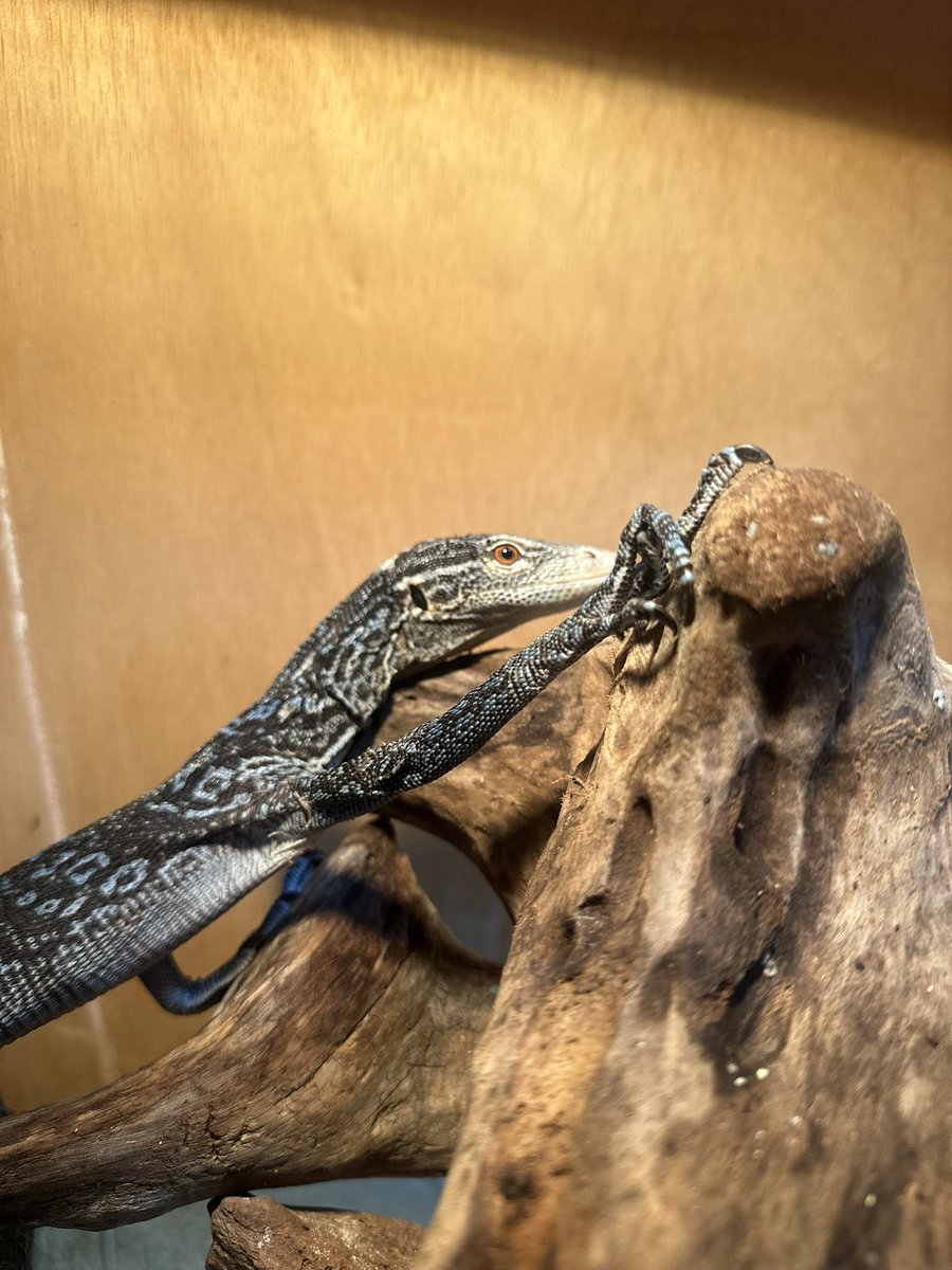 おはようございます！
やっと8カ月で少し慣れてきてます😁