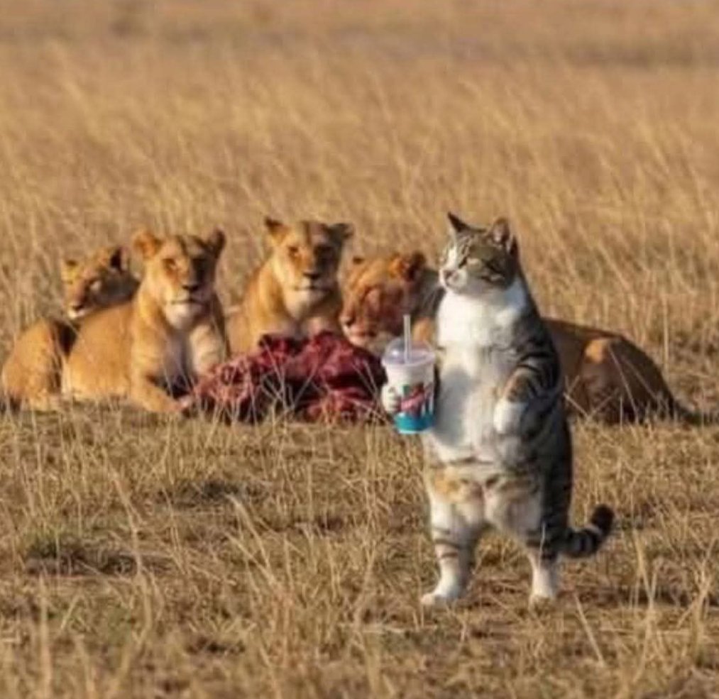 Of course, Steve took a pal to the Safari Park...