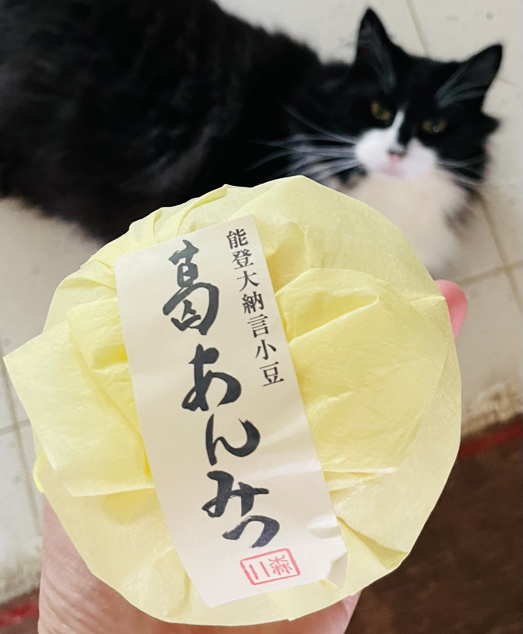 『花鳥風月, 中央にドリップコーヒー』『異世界海浜町』※2点 饕餮 (@sci_fi_gourmand) / X
