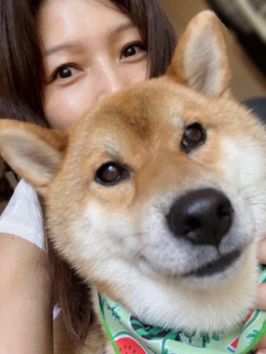 おはようございます🍉🐾 昨夜実家に帰ったら、喜びMAXで出迎えてくれ