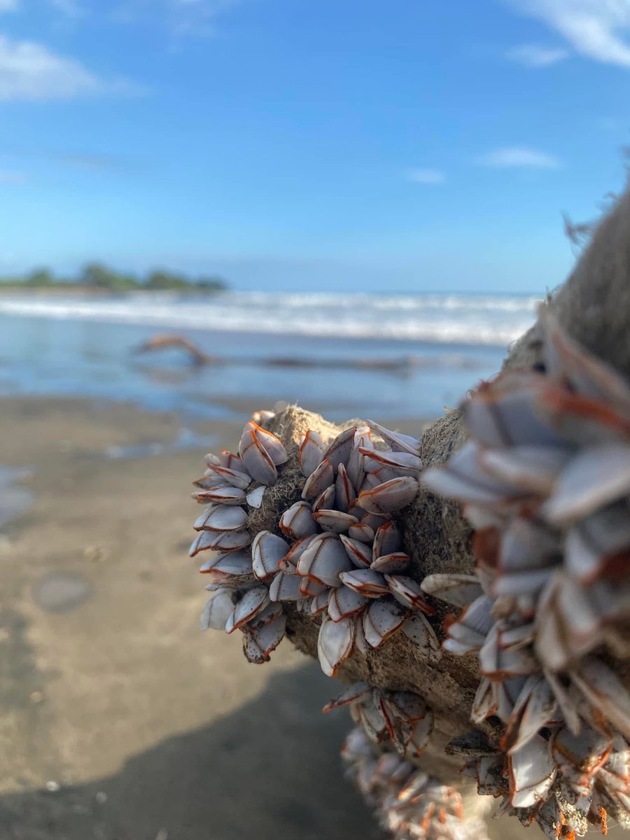 A veces es bueno decir: hay que descansar.