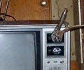 Michael Flores tweet media