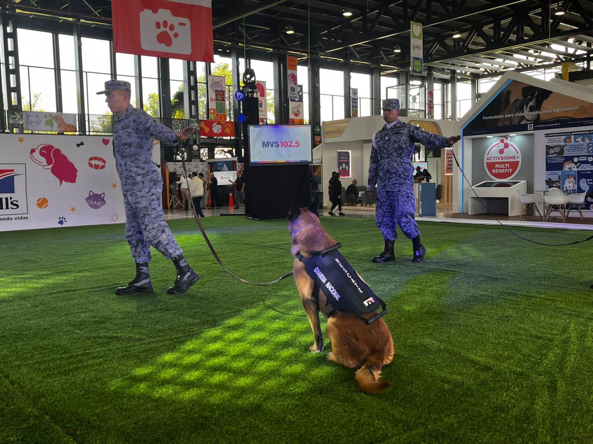 Guardia Nacional tweet media