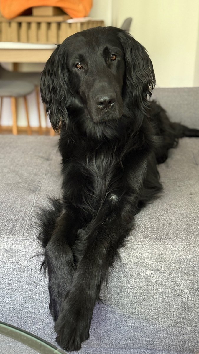 felix_snow2's tweet image. Love 🥰🥰🥰