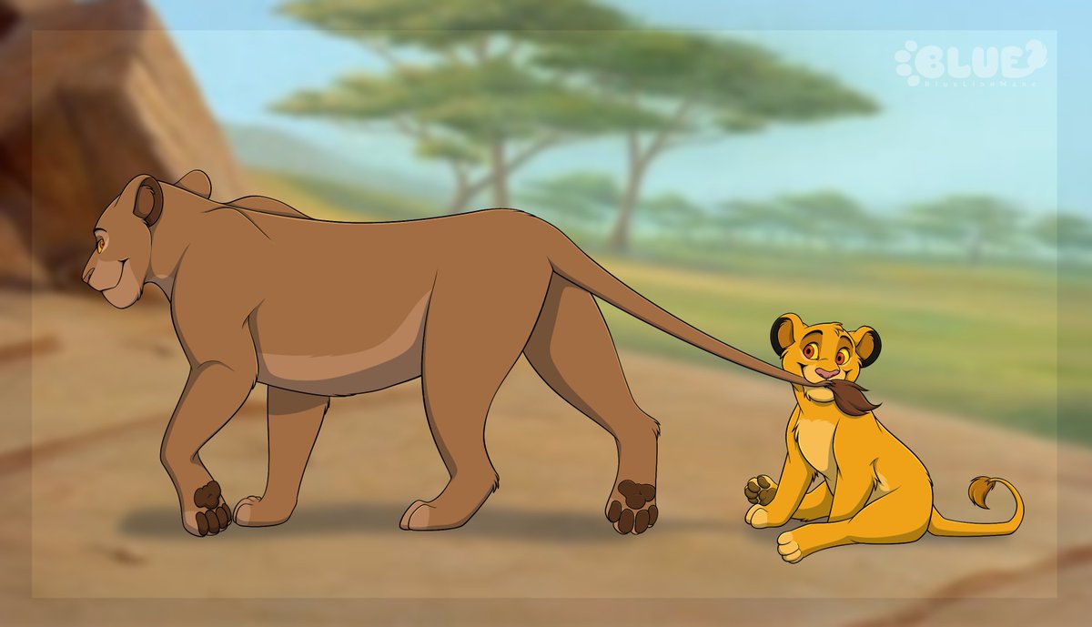 BlueLionMane's tweet photo. Anatomy study :) Sarabi and Simba 💛🤎
I used an irl lion picture as a reference but I cant find it (anywhere 😭) https://t.co/eQcpy6x4JR