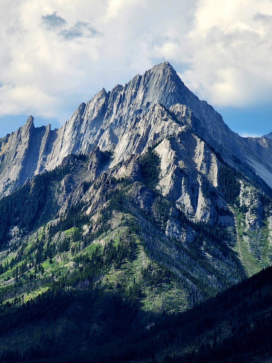 Mark Milleker tweet media