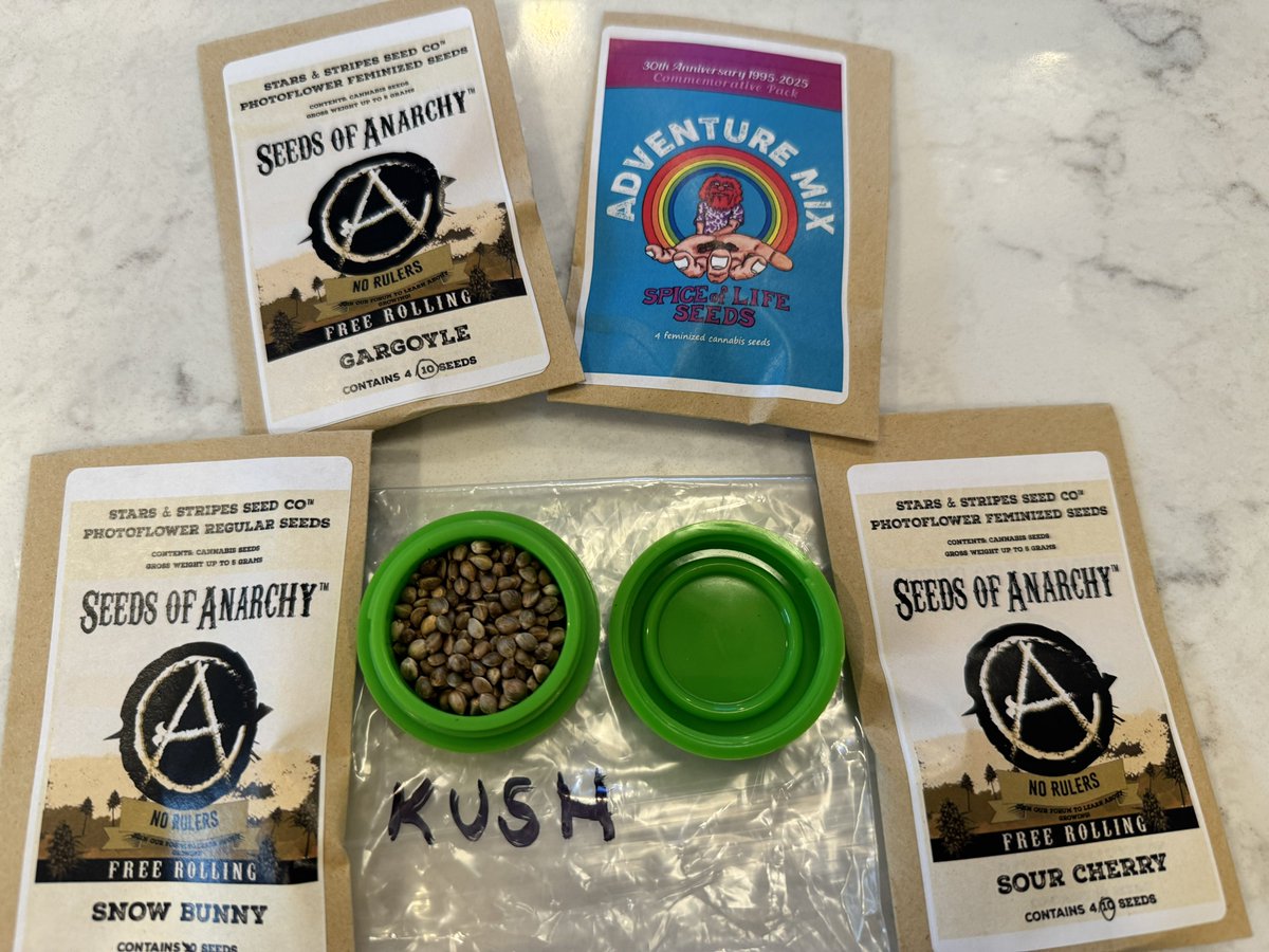 Kippa (@kippagrows) on Twitter photo Just got my package in from <a href="/spiceoflifeseed/">Spice Of Life Seeds™</a>, I’m really looking forward to growing these 🔥💚 Just got my package in from <a href="/spiceoflifeseed/">Spice Of Life Seeds™</a>, I’m really looking forward to growing these 🔥💚
