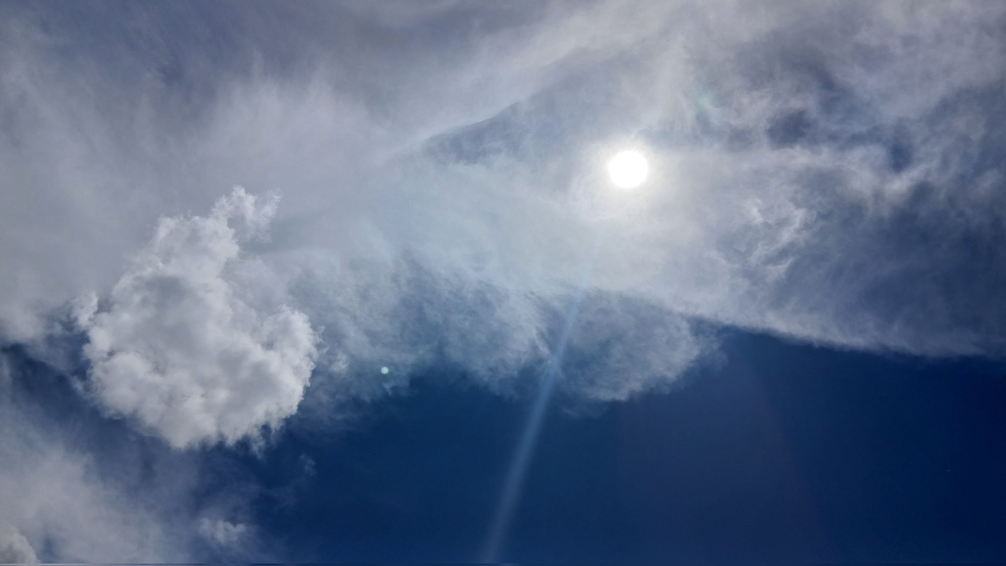 LAM氏直筆イラスト色紙<きらきら星> LAM氏直筆イラスト色紙<きらきら星> その他