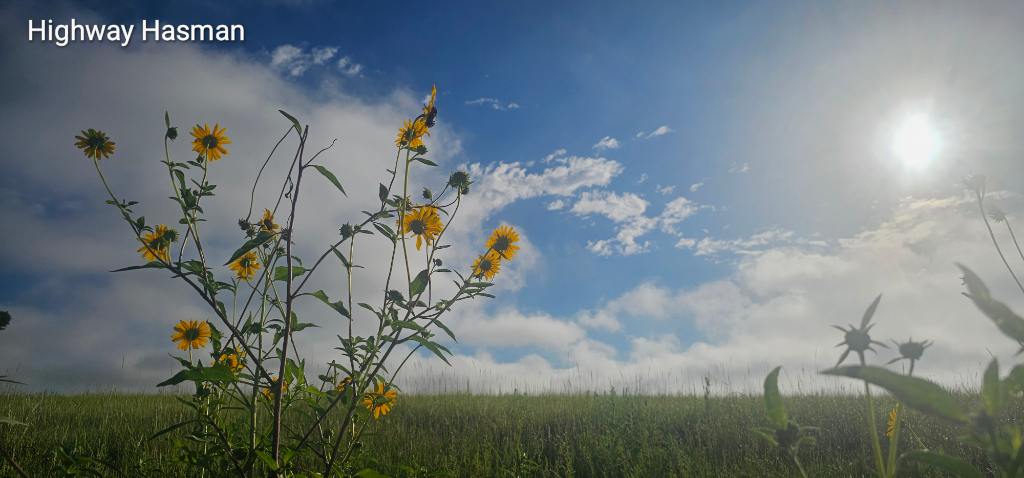 Have a peaceful evening. 

#NewMexico