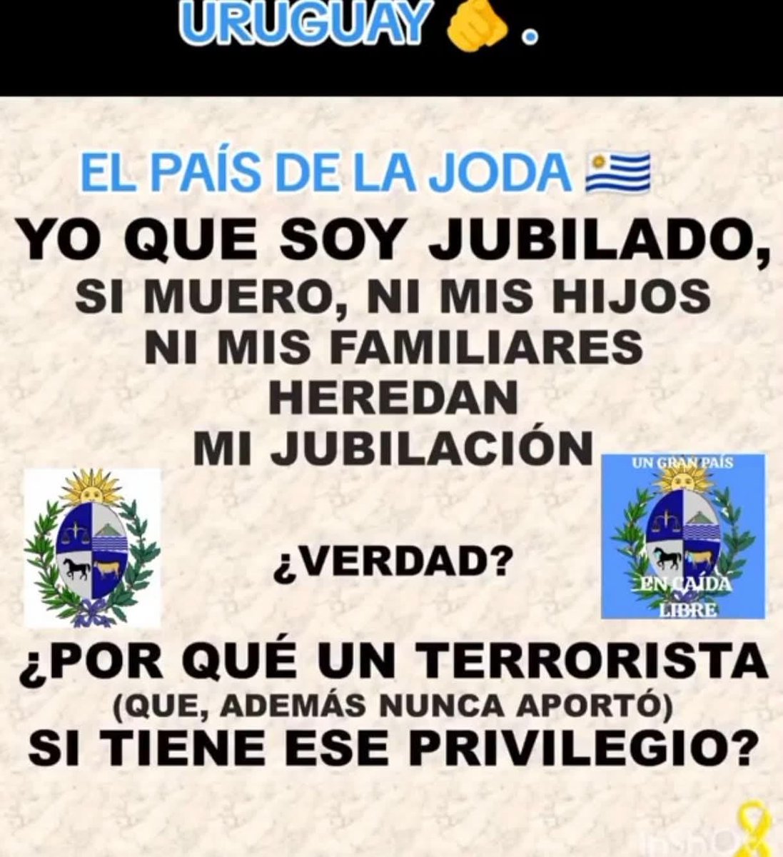 ana maria pfeiff fiedler Patriota, Liberal (@ana_pfeiff) on Twitter photo 