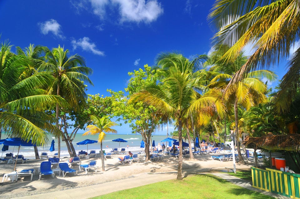 Caribbean citizenship programs offer great opportunities for global mobility and wealth building
ceoworld.biz/2025/08/03/car…