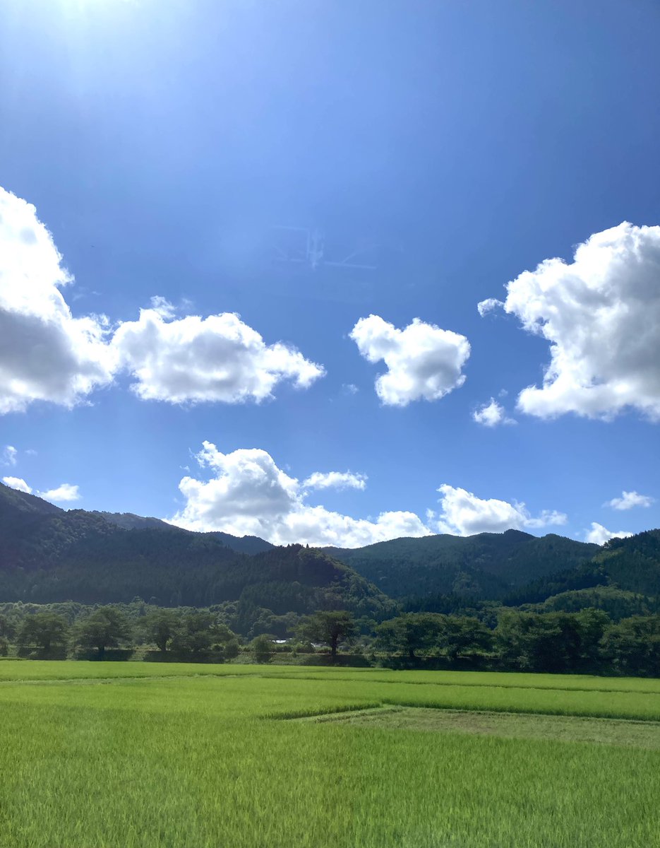 tonomuseum's tweet image. 宮守町鱒沢