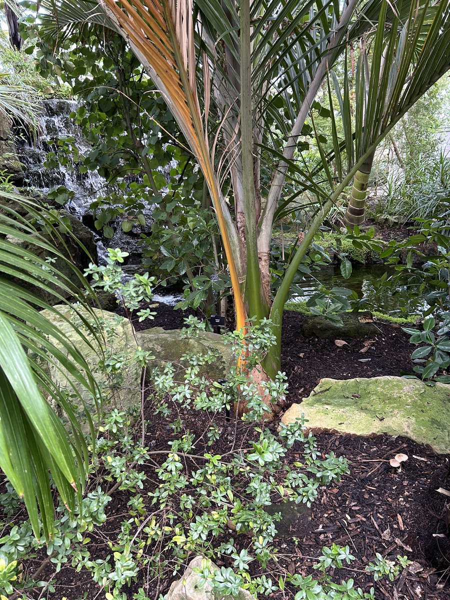 Jdnuggles's tweet photo. @kewgardens https://t.co/5kZd8tQUas