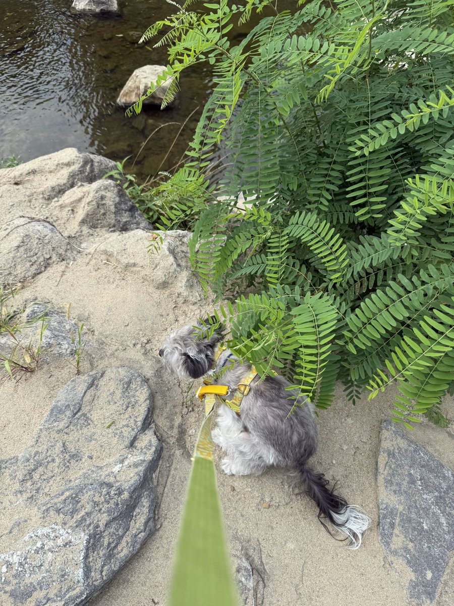 연근🐼 (@__butlotusroot) on Twitter photo 