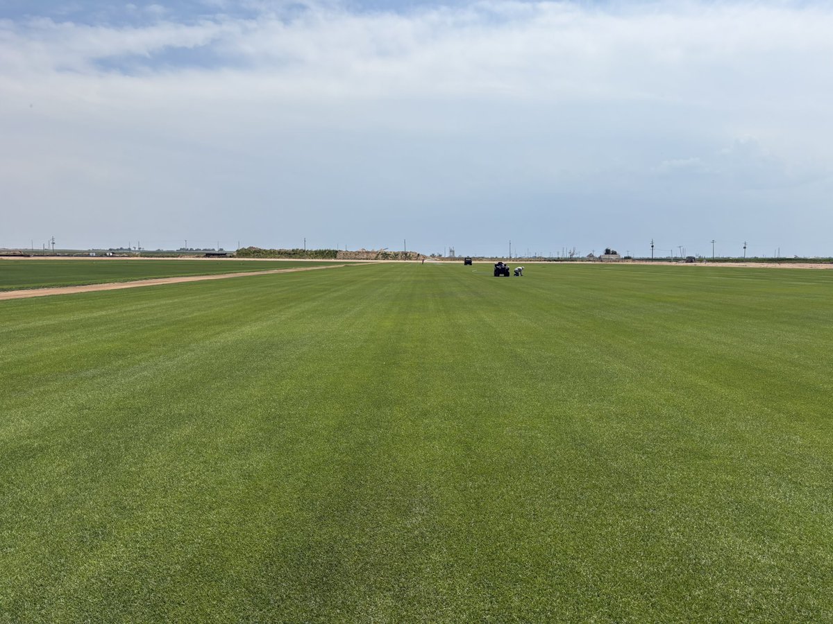 Chris Hathaway (@chrish5280) on Twitter photo As we start our last concert of the summer. 48 hours from now we should be sod ready. <a href="/GreenValleyTurf/">Green Valley Turf Co</a> has done an amazing job, preparing us for success. By the end of day Wednesday this Kentucky Bluegrass will have new home. #allmosttofootballseason As we start our last concert of the summer. 48 hours from now we should be sod ready. <a href="/GreenValleyTurf/">Green Valley Turf Co</a> has done an amazing job, preparing us for success. By the end of day Wednesday this Kentucky Bluegrass will have new home. #allmosttofootballseason