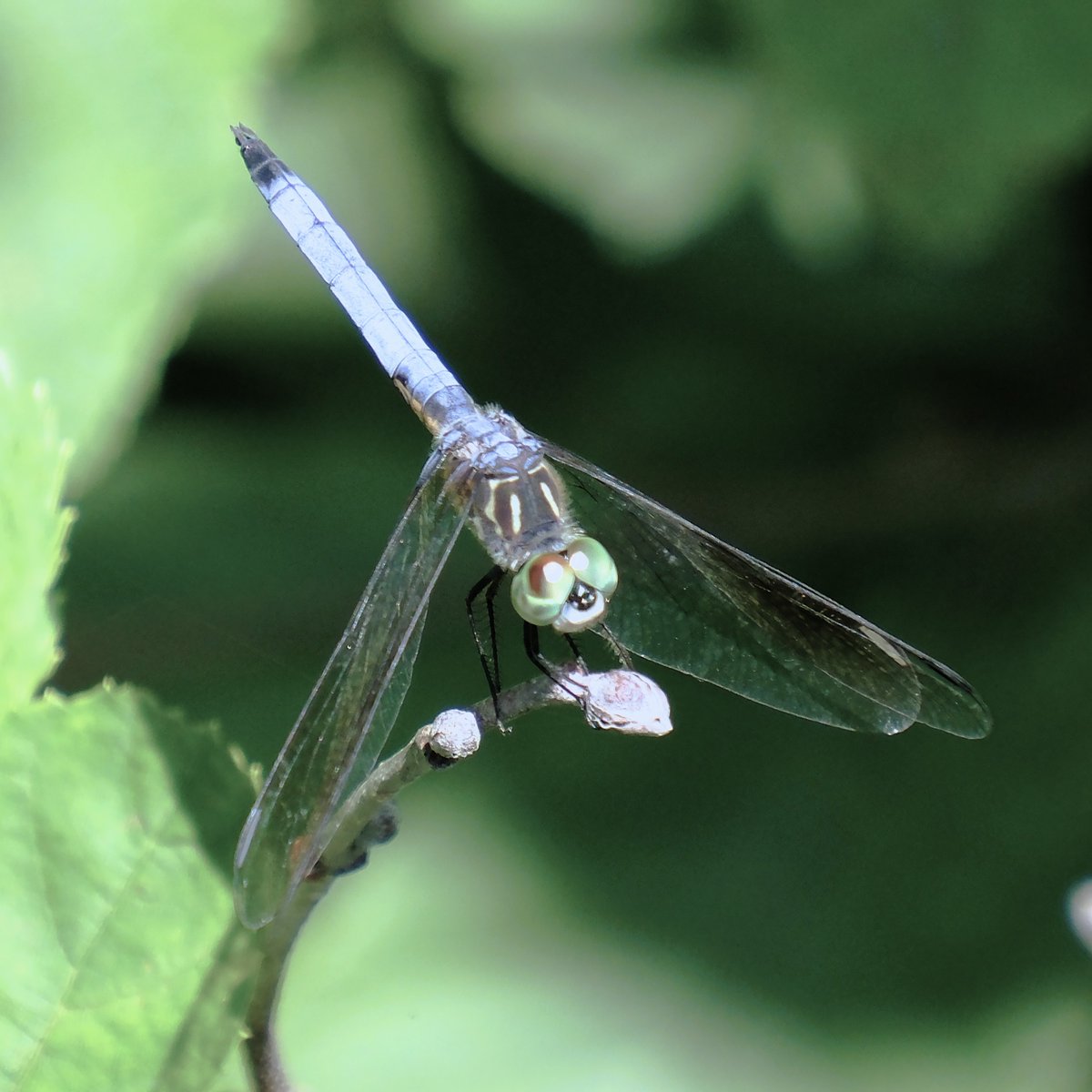 Nelson Struck (@nelsonjstruck) on Twitter photo 