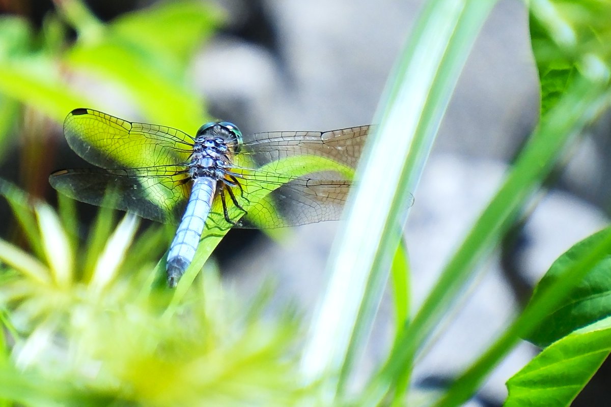 Nelson Struck (@nelsonjstruck) on Twitter photo 