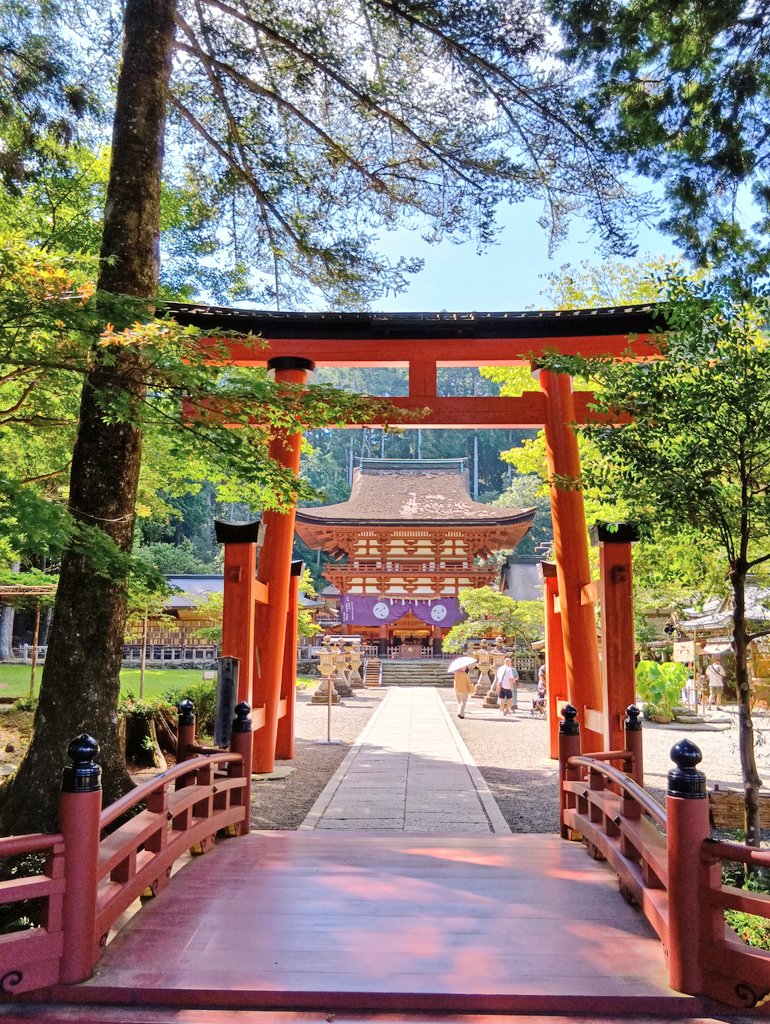 nozomi☆様　王地山焼　染付　角徳利（高21.5㎝）三田染付 染付地紋 そば徳利 矢羽根 | 白山陶器直営オンラインストア
