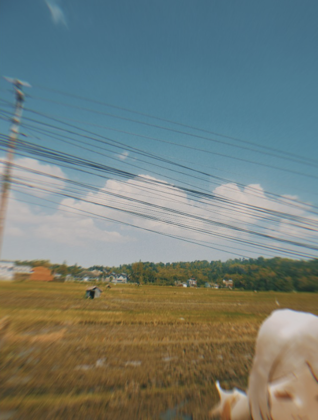 h_namza6206's tweet photo. Going home...
#photograpy #photogenic #colorgrading #capcut #photoofthedays #edits #sunset #muallimin #scenery #chroma #clouds https://t.co/vbyt58R2Cl