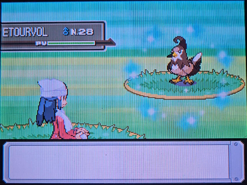 HydroPoing's tweet photo. La Phase 1 de Malosse se termine sur cet Étourvol brun rougeâtre en seulement 2127 rencontres ! ✨

Je ne l'avais pas donc c'est sympa ! J'enchaîne directement avec la phase 2. J'adapte mes shasses bingo à la VGS pour l'instant... https://t.co/QgKtsUUzLe