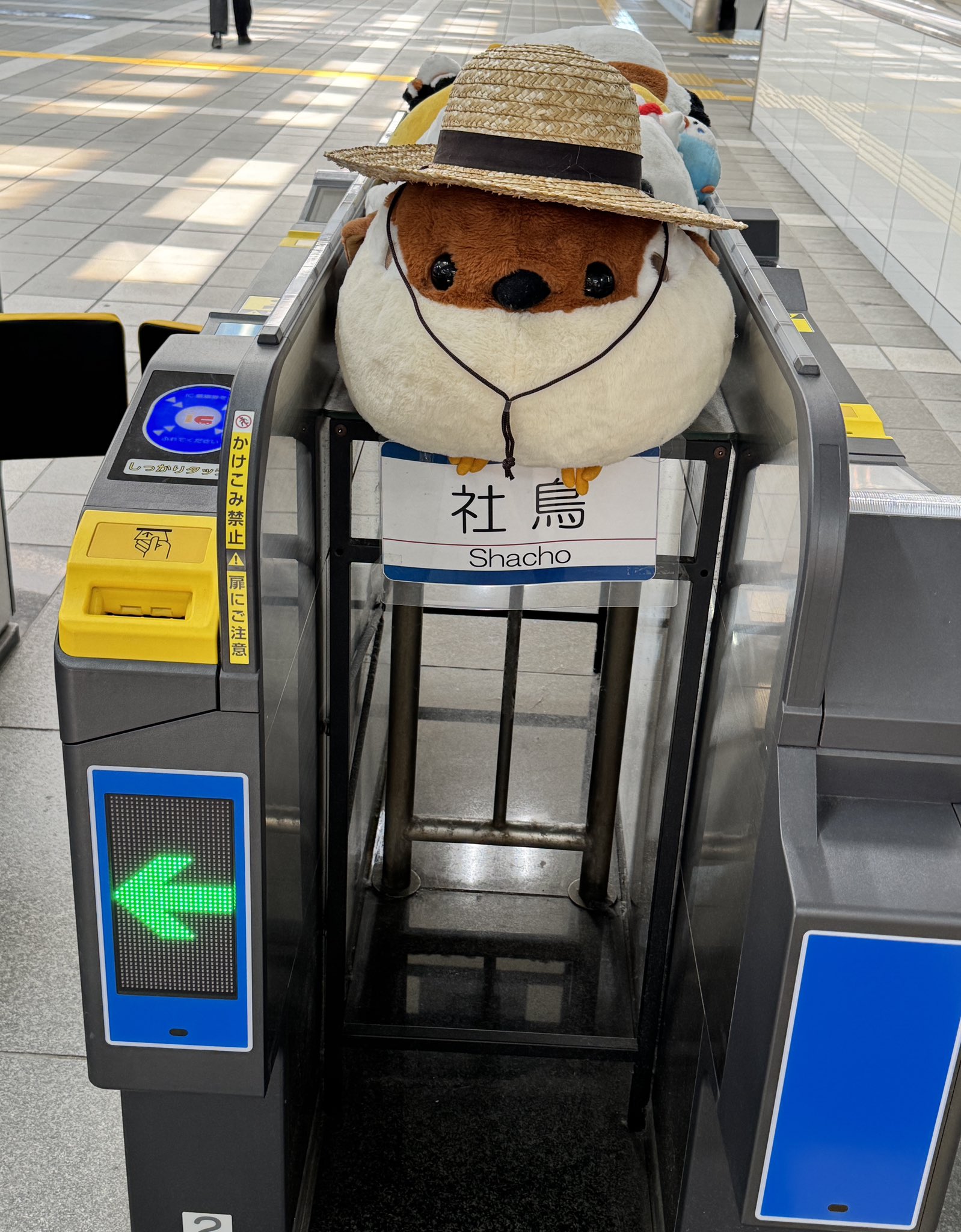 いず on X: 