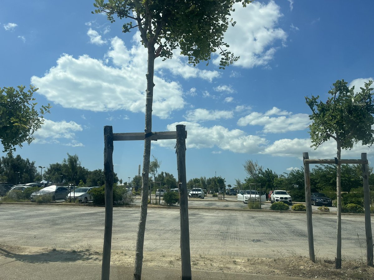 Thiry Stanislas tweet media