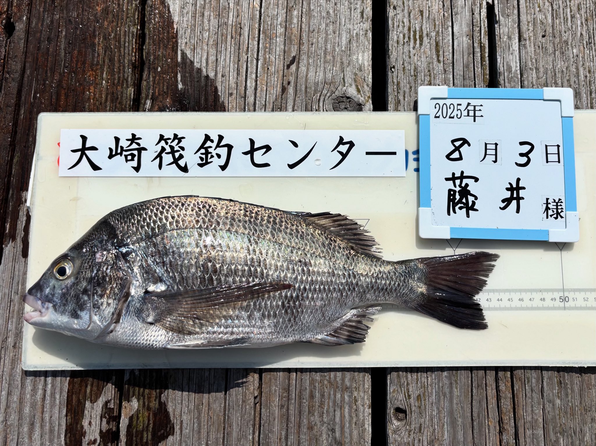 大崎筏釣センター on X: 