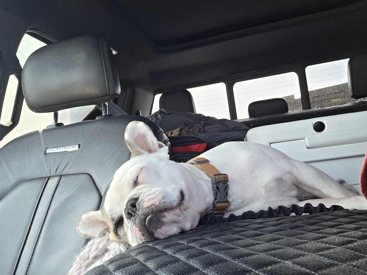 Joshua D. Drake (@chronicallyjd) on Twitter photo 