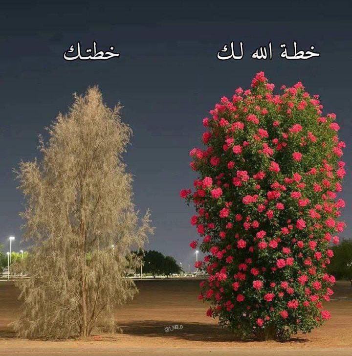 *" إن الله -سبحانه وتعالى- يبعث في طريقك ما يوقظك بين الحين والآخر، أنت الذي ظننتٓ لوقت طويل أنك مُستيقظ♡⁠🌹.*