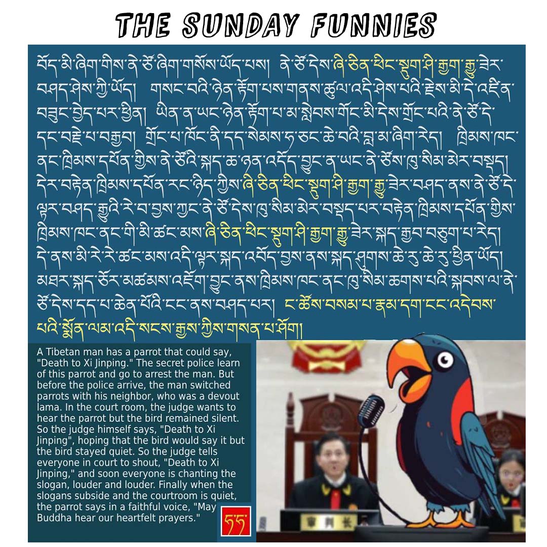 The Sunday Funnies
tibetanreview.net/the-sunday-fun…
***
#TheSundayFunnies #Tibet #China #Cartoon #Comics