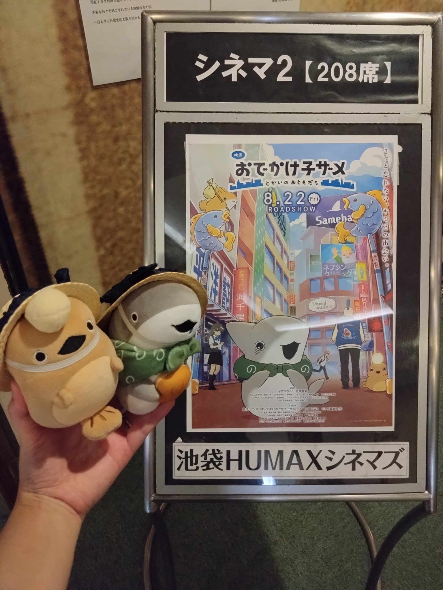 ザメちゃん確認 GOAl-OhaYAAxUbY.jpg