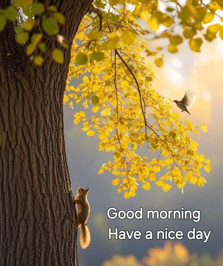 #Assalamu_Alaikum_____

जिस तरह  आग  लफ्ज़  बोल देने से
मुंह  नहीं जलता  बिलकुल उसी तरह

अच्छे को बुरा कह देने से वो बुरा नहीं हो जाता
लिहाज़ा गुमान अच्छा रखे ईमान मज़बूत रहेगा

Subah ba khair dost'on ☕