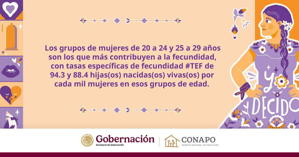 CONAPO_mx's tweet image. #¿SabíasQue?

En 2020, de acuerdo con la ENADID 2023 se estimó que el promedio de hijas(os) por mujer durante su vida reproductiva, conocida como tasa global de fecundidad #TGF, es de 1.72 hijas(os) por mujer.

@SEGOB_mx  @GabrielaRodr108 @CNEGSSR @TereRamosA @mujeresgobmx