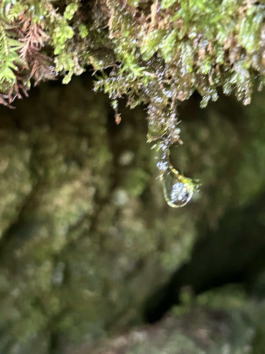 *たえ* tweet media