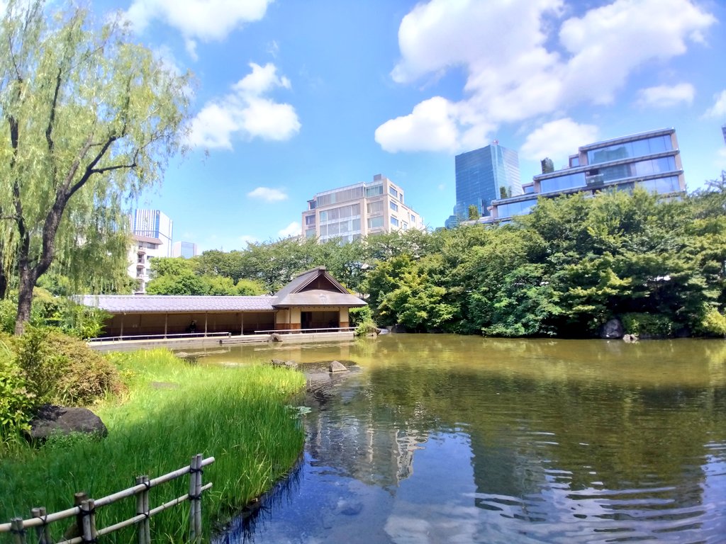 六本木ヒルズにドラえもんがたくさんいます

#六本木ヒルズ
#東京ミッドタウン
#檜町公園