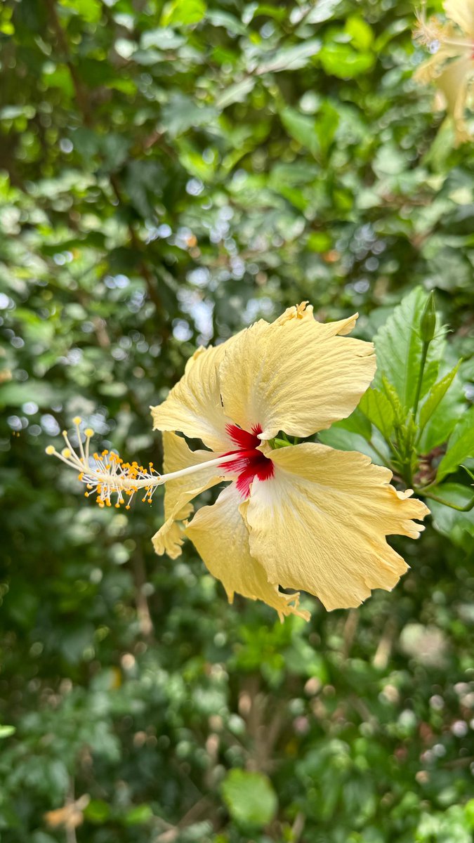 #Nature things. #India