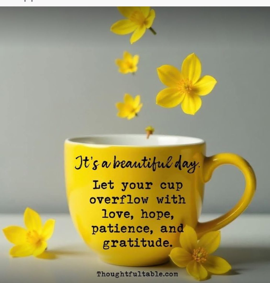 ☕️☕️☕️

Let your cup overflow with love,patience and gratitude.

#Coffee helps

<a href="/Cbp8Cindy/">Cindy QB Pearl 👠&🐇</a> <a href="/QueenBeanCoffee/">TheQueenBean</a> <a href="/suziday123/">Suzi Day</a> <a href="/LoveCoffeeHour/">LoveCoffeeHour</a> <a href="/FreshRoasters/">Charlene F 🌉☕🍷☔ 🇨🇦 🇺🇦</a> <a href="/Stefeenew/">Have a great day ☕️🎂🌸💕🎉</a> 

#CoffeeLovers #CoffeeAddicts #CoffeeFriends #CoffeeTime #CoffeeTalk #CoffeeCulture #CoffeeShop #CoffeeCup