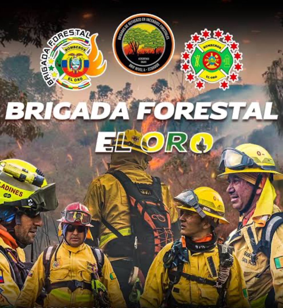 javierA50_'s tweet photo. Preocupados por la falta de acciones preventivas de autoridades por época de sequía que ocasionan incendios forestales en nuestra provincia. Nosotros listos para apoyar en capacitaciones y pre-planes  a los GADS y comunas con estadísticas de incendios. 
Aún estamos a tiempo !!! https://t.co/wgwlpuVPv9
