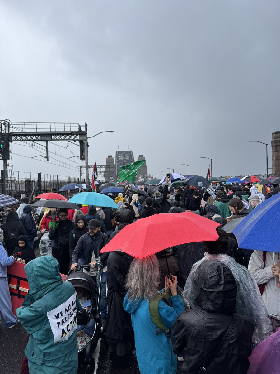 Marched for Palestine in the rain on the Sydney harbour bridge