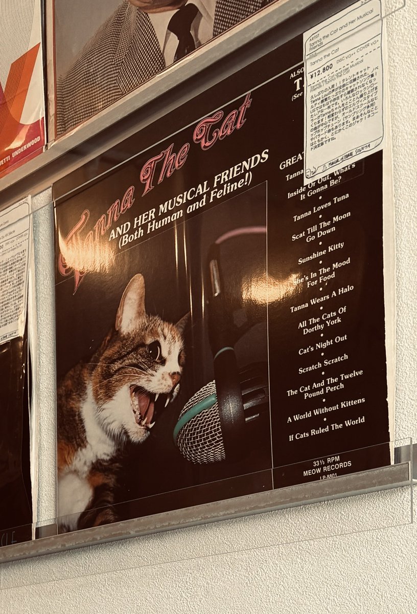 お気付きだろうか…。