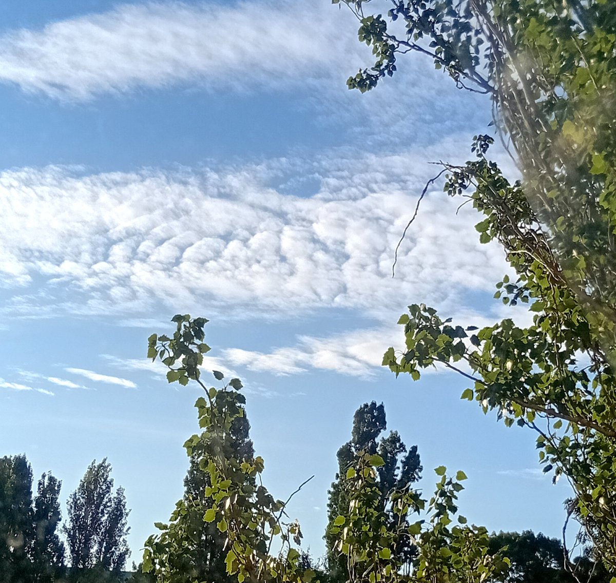 Катерина Галич tweet media