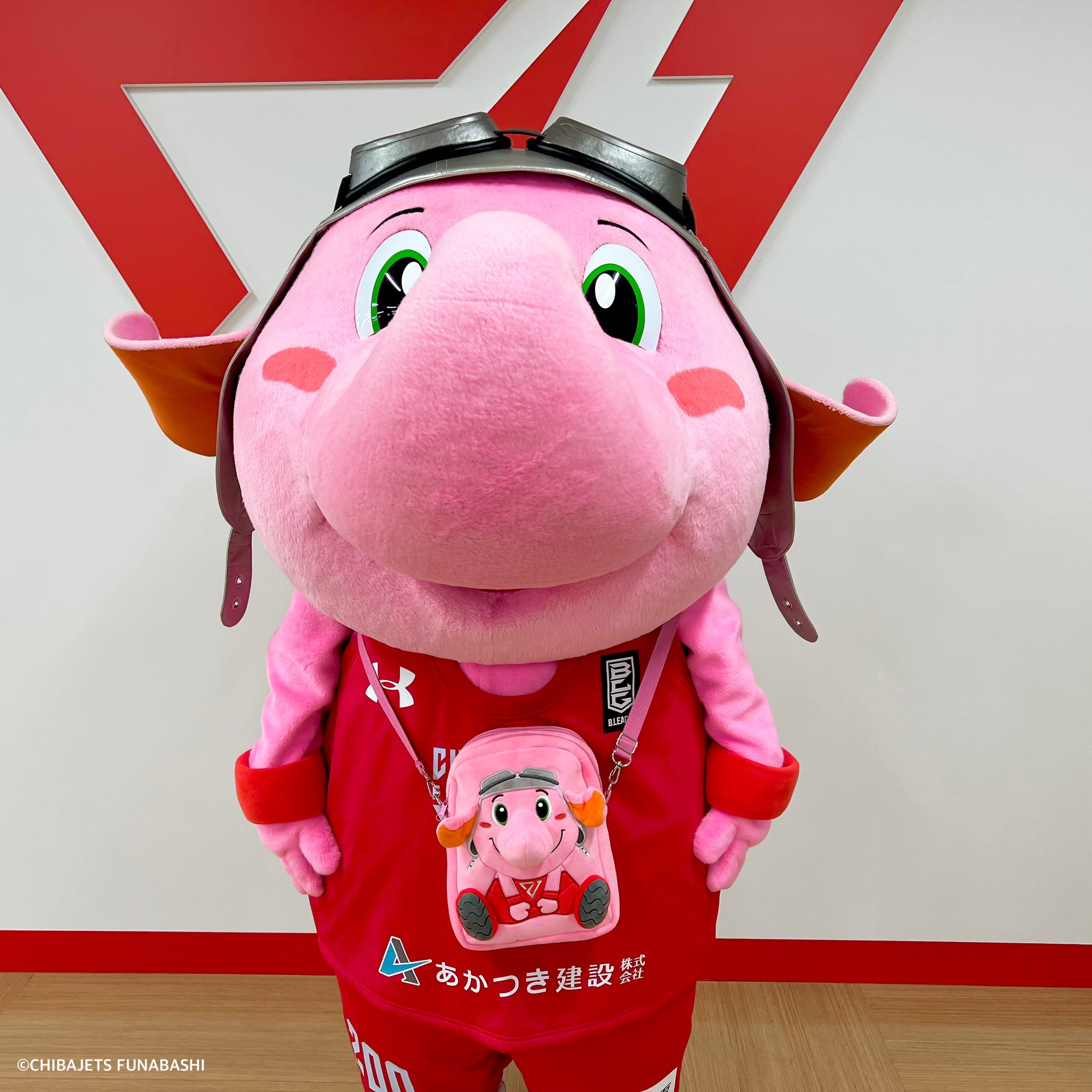 【限定品】ジャンボジャンボくん➕初期ユニジャンボくん　千葉ジェッツ 千葉ジェッツ ジャンボくんぬいぐるみ ステッカー付き