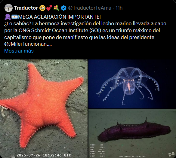 Ari 🐬 (@arielbiologist) on Twitter photo Si el CONICET no financiaba 3 expediciones previas y no formaba científicos de calidad, el privado Schmith Ocean ni se enteraba de nuestra existencia. Fin Si el CONICET no financiaba 3 expediciones previas y no formaba científicos de calidad, el privado Schmith Ocean ni se enteraba de nuestra existencia. Fin