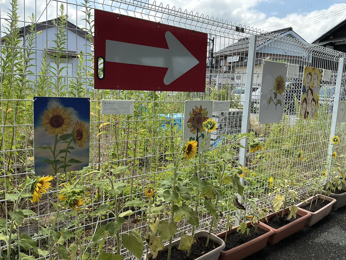 OHMI_railway's tweet image. コンにちは🦊

多賀大社前駅でのイベント
「ガチャコンでトイレール✖️古代ゾウとわくわく体験」
始まりました〜‼️
多くのご家族連れで賑わっています♪
15：30まで開催中です❗️

(担当MF広報)

#近江鉄道
#ガチャコン
#みらいファクトリー
#多賀大社前駅