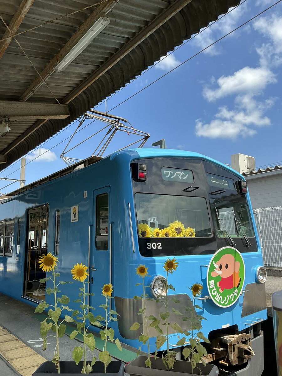 OHMI_railway's tweet image. コンにちは🦊

多賀大社前駅でのイベント
「ガチャコンでトイレール✖️古代ゾウとわくわく体験」
始まりました〜‼️
多くのご家族連れで賑わっています♪
15：30まで開催中です❗️

(担当MF広報)

#近江鉄道
#ガチャコン
#みらいファクトリー
#多賀大社前駅