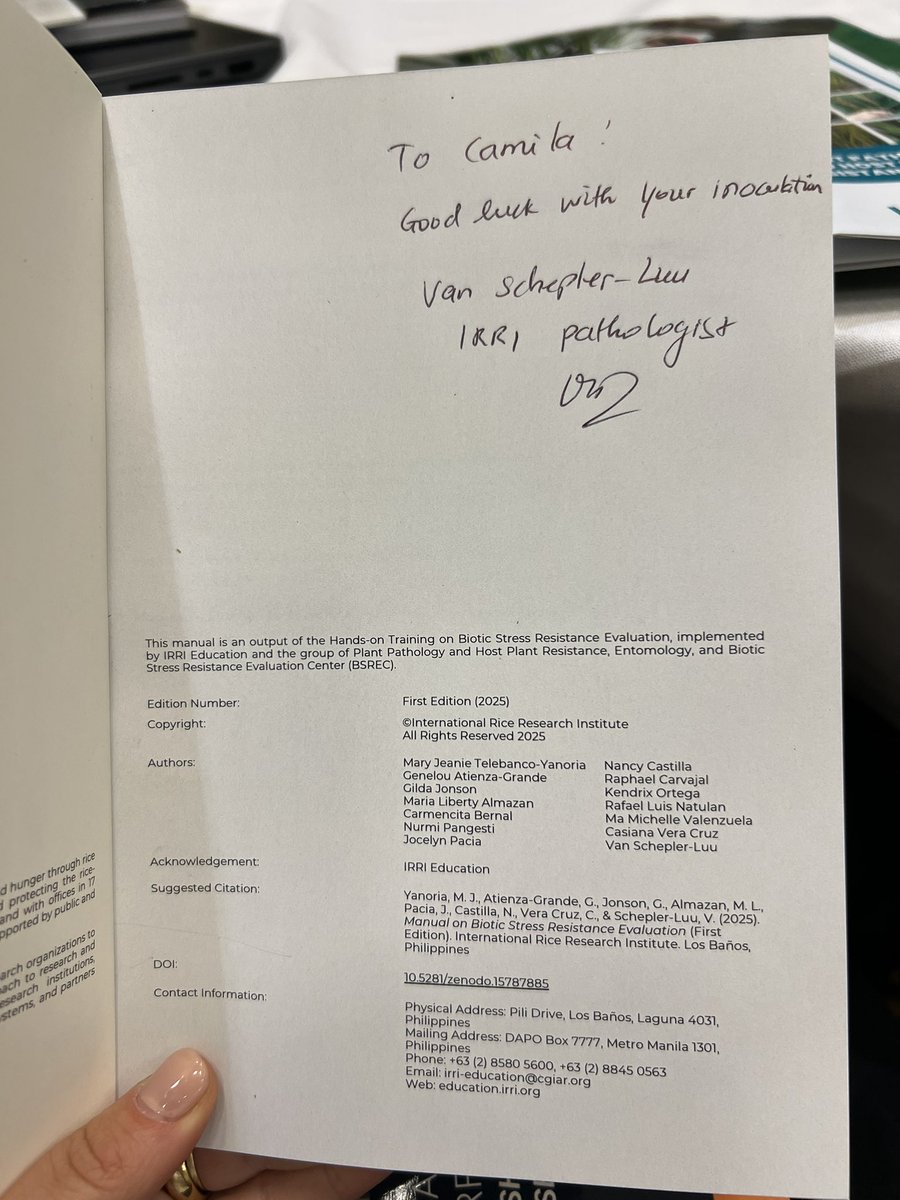 Camila Nicolli tweet media