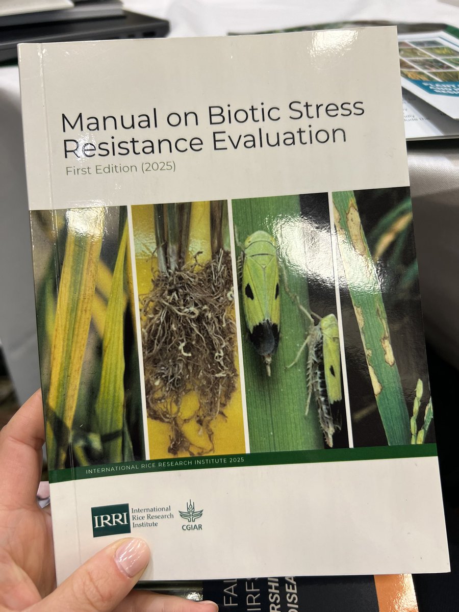 Camila Nicolli tweet media