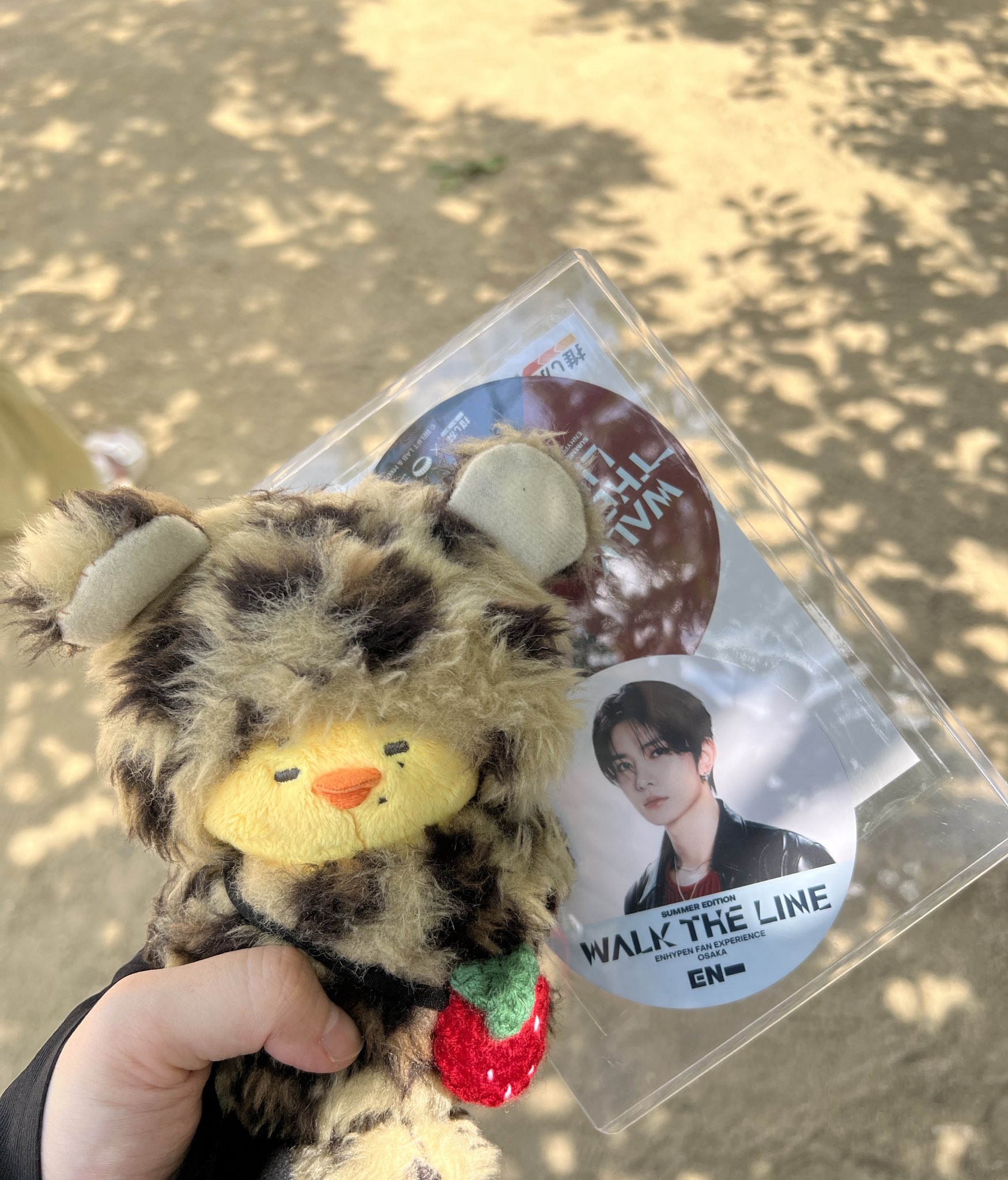 しらたまページ しらたま❄️C106 2日目東ア-87ab🧊🖤 (@shiratamacaron) / X