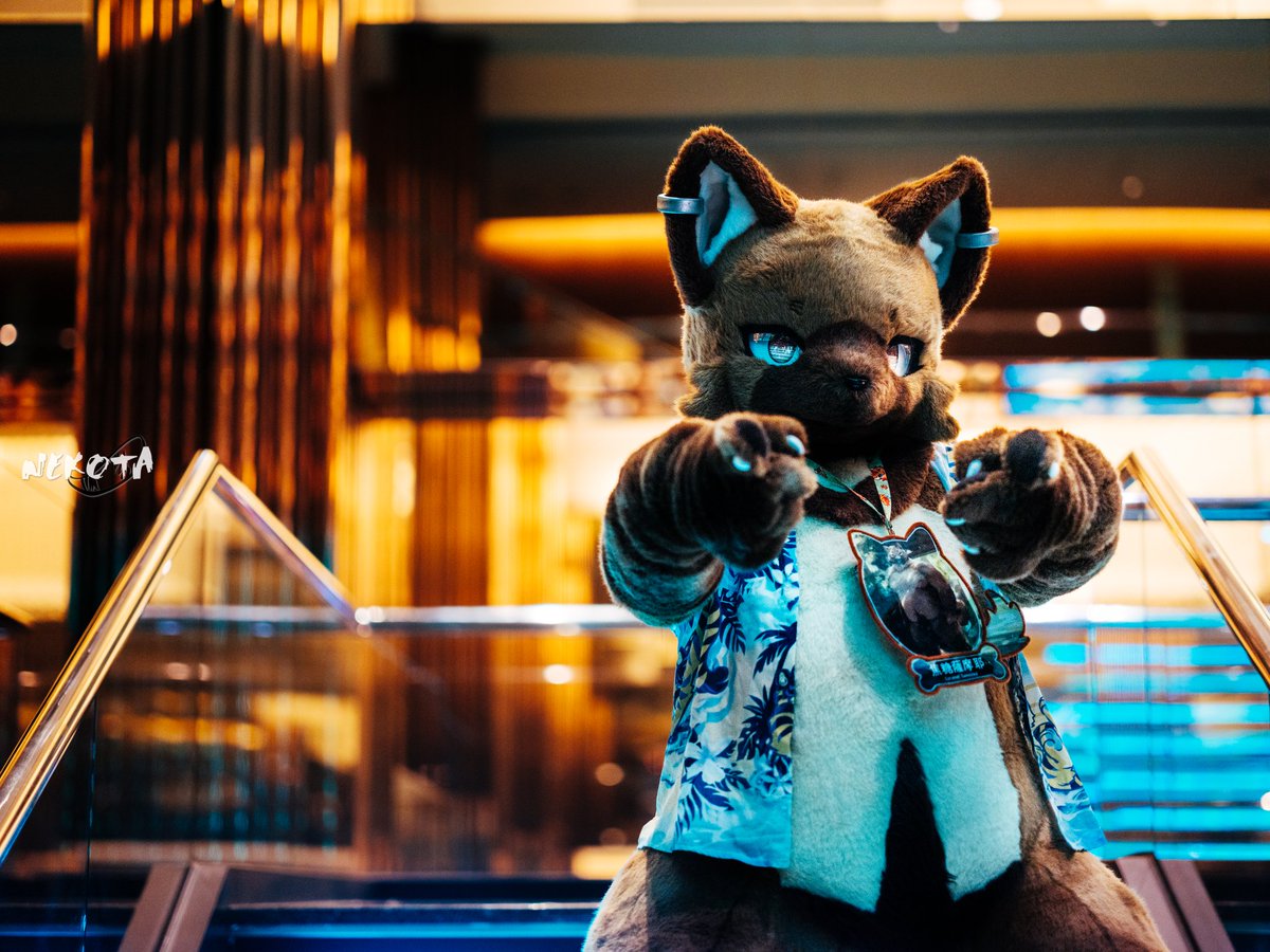 推特兩歲惹，表示我的設定也出來兩年了🤤

謝謝浣熊把拔，永遠支持你！

It's been 2 years since my fursona isfinished, thanks for <a href="/racoonwolf/">Rac'n 🐾 INFURNITY</a>'s hard work.

📸: <a href="/hinekota/">ネコタ@NEKOTA➡Infurnity</a>