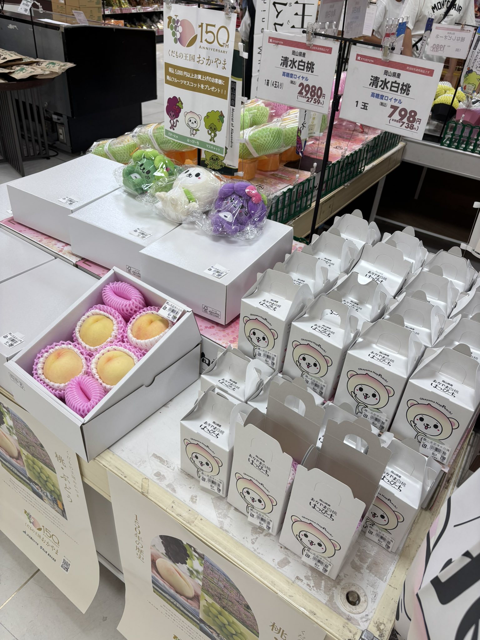 MiHO♡さん専用 フォーミングW2、ソフトローション3